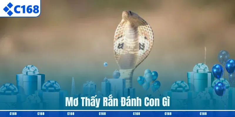 Mơ Thấy Rắn Đánh Con Gì